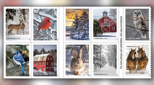 "Winter Scenes" USPS First Class Forever Postage Stamps 5 Sheets of 20 (100 total mailing stamps)