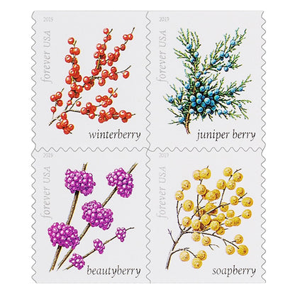 Forever Stamps First Class Postage Stamps Winter Berries 100pcs/Pack ~5 Sheets of 20 (100 total mailing stamps)