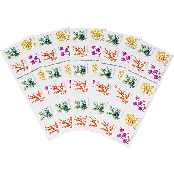 Forever Stamps First Class Postage Stamps Winter Berries 100pcs/Pack ~5 Sheets of 20 (100 total mailing stamps)